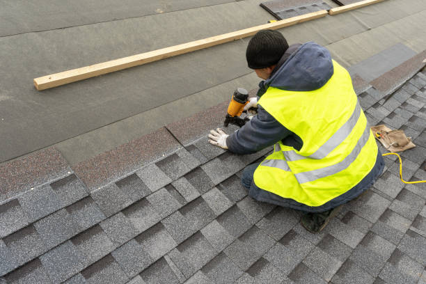 Roof Gutter Cleaning in Jonesville, MI