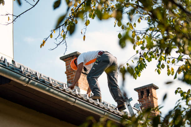 Best Residential Roof Replacement  in Jonesville, MI