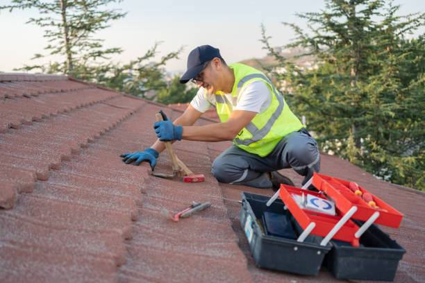 Best Roof Maintenance Services  in Jonesville, MI