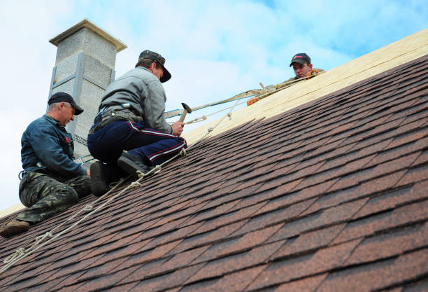 Best Roof Waterproofing Services  in Jonesville, MI